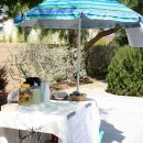 Lemonade stand 9