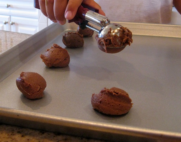 Peanut Butter Brownie Cookies 2