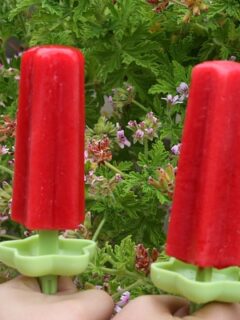 Raspberry Popsicles