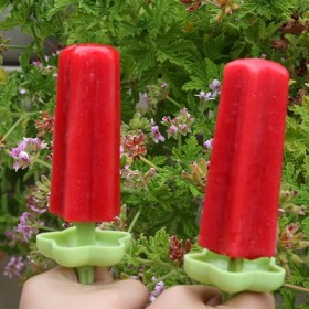 Raspberry Popsicles