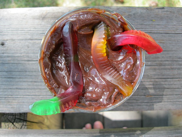 Gummy Worm Mud Cup