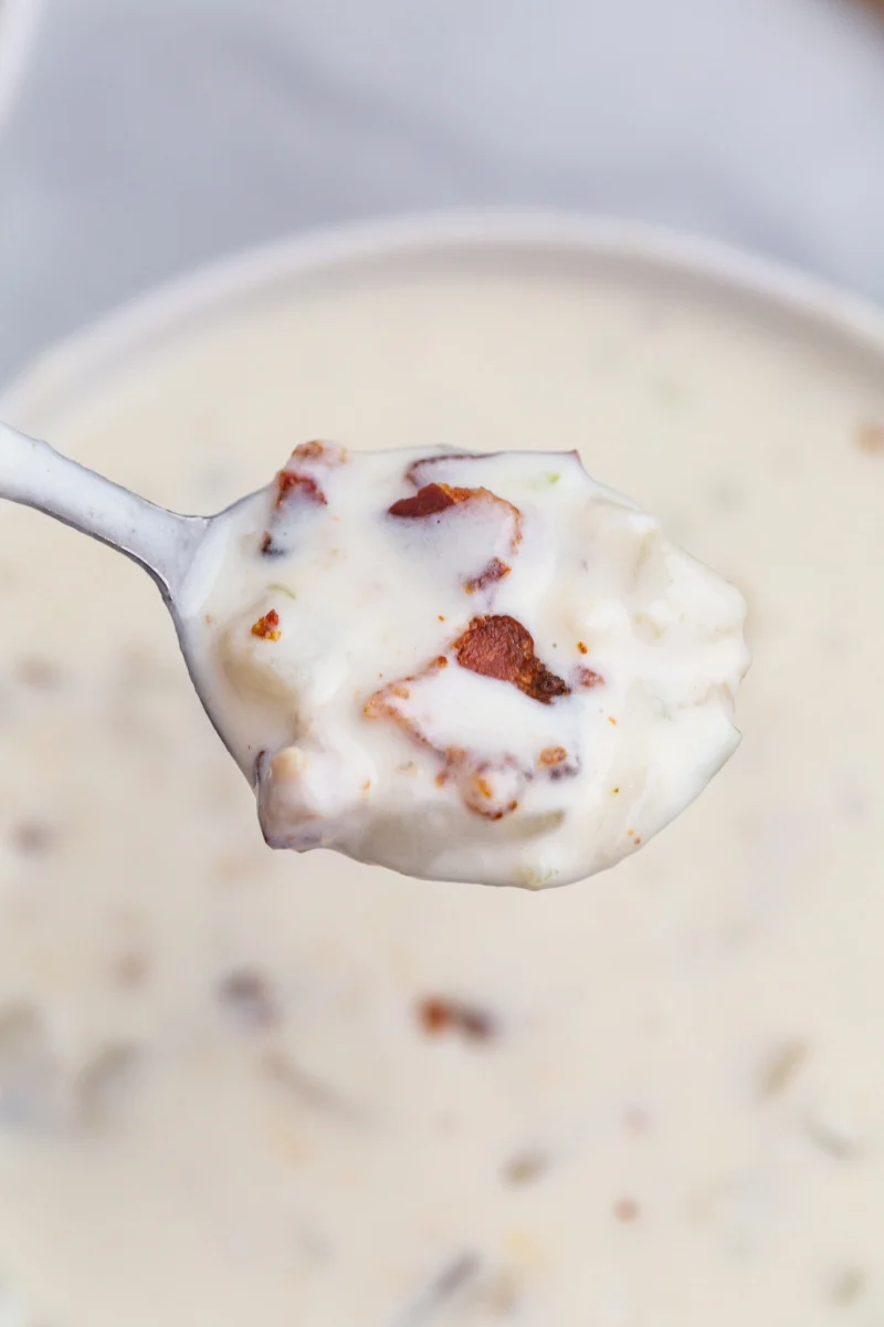 spoonful of clam chowder