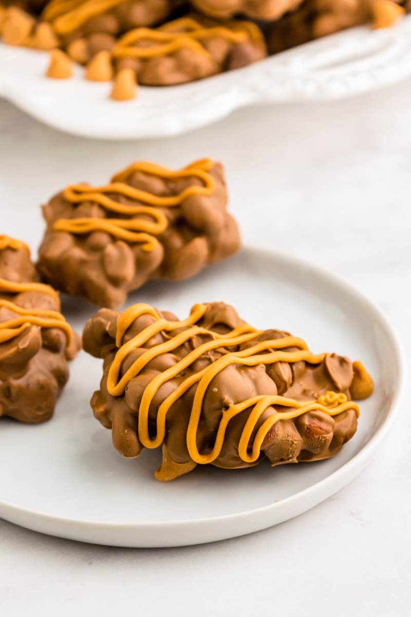 peanut cluster on white plate