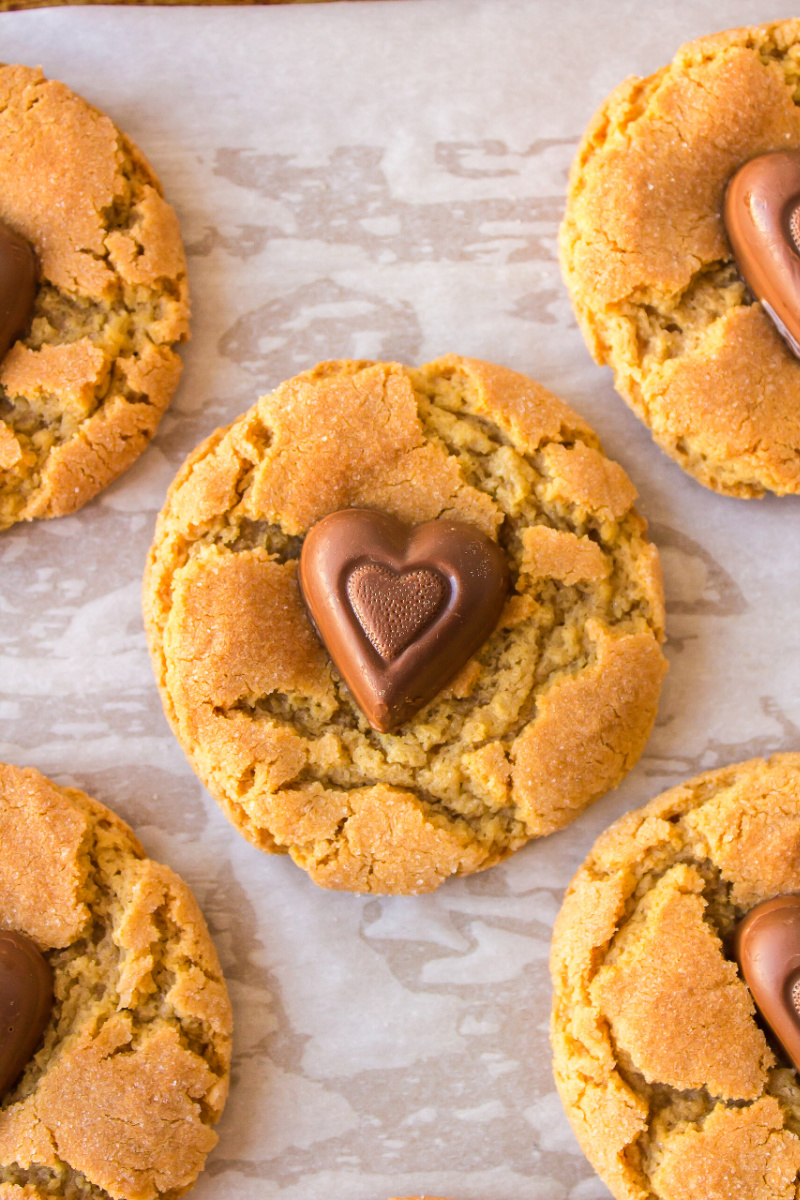 chocolate heart peanut butter cookie