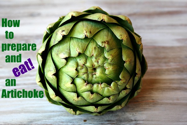 How to Prepare and Eat an Artichoke