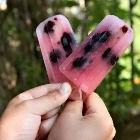 Blackberry Lemonade Popsicles