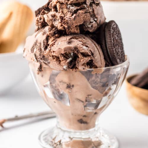 dish of chocolate cookies and cream ice cream