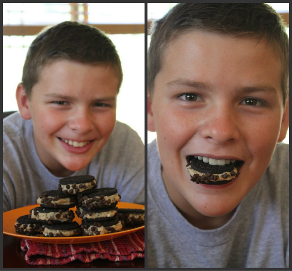 RecipeBoy with Chocolate Chip Cookie Dough Stuffed Oreos