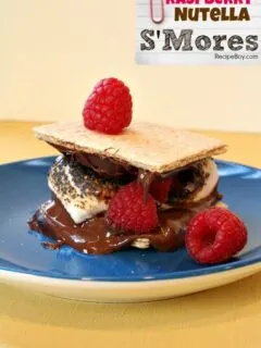 Raspberry Nutella S'Mores