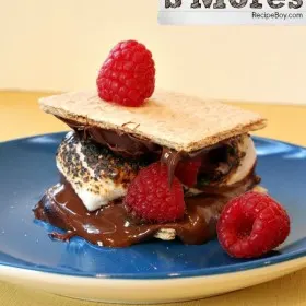 Raspberry Nutella S'Mores