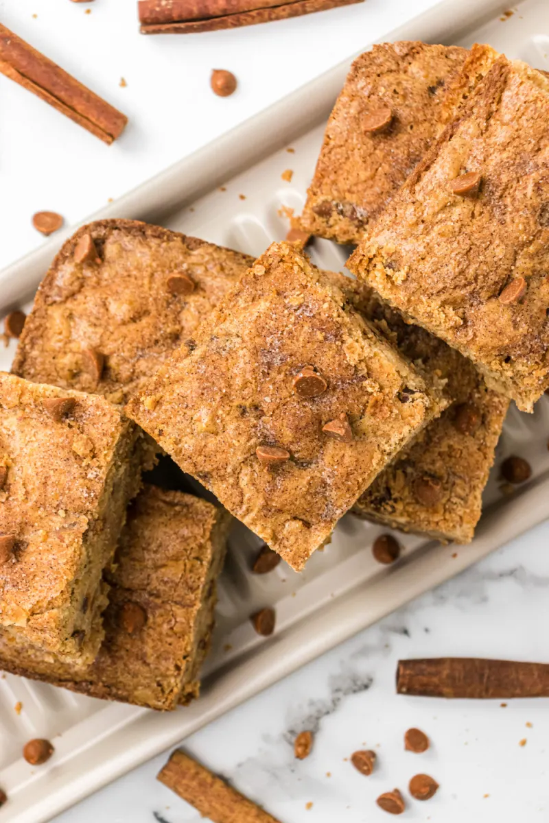 snickerdoodle blondies