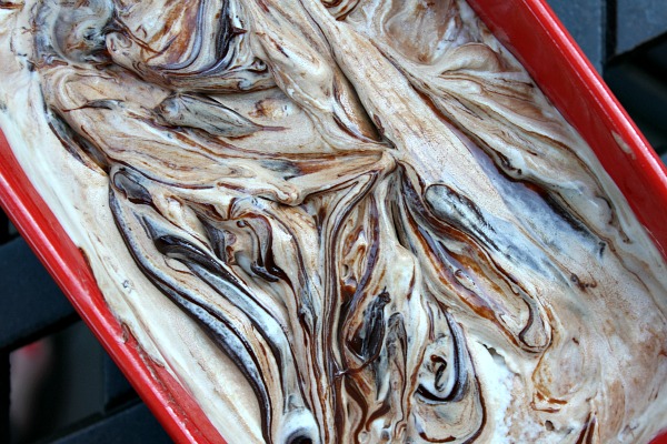 Marshmallow- Fudge Swirl Ice Cream 2