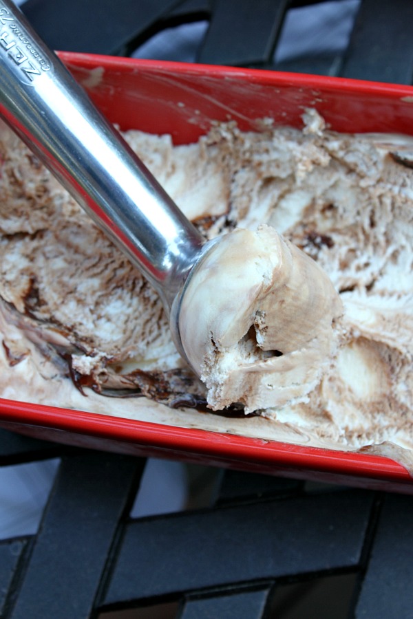 Marshmallow- Fudge Swirl Ice Cream 3