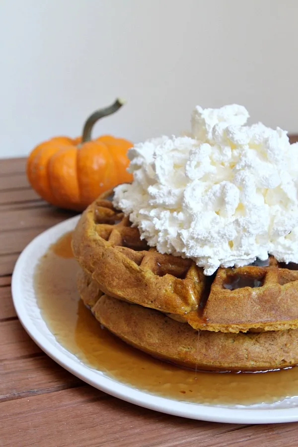 Pumpkin Waffles with Whipped Cream