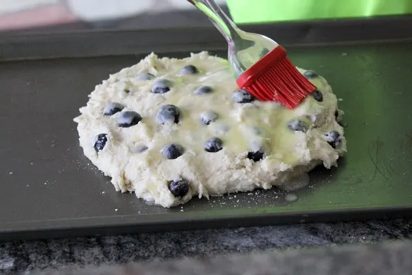 Cape Code Blueberry Scones brushed with butter