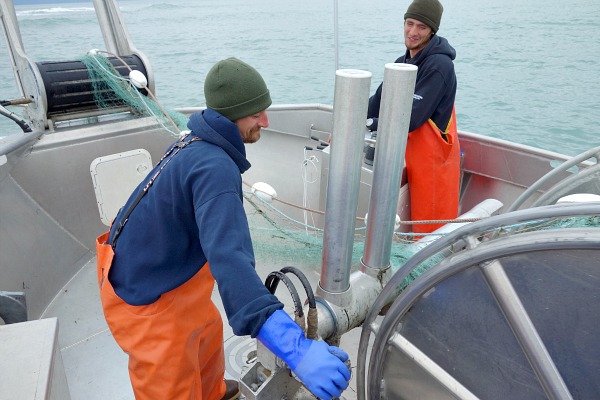 Gillnetting