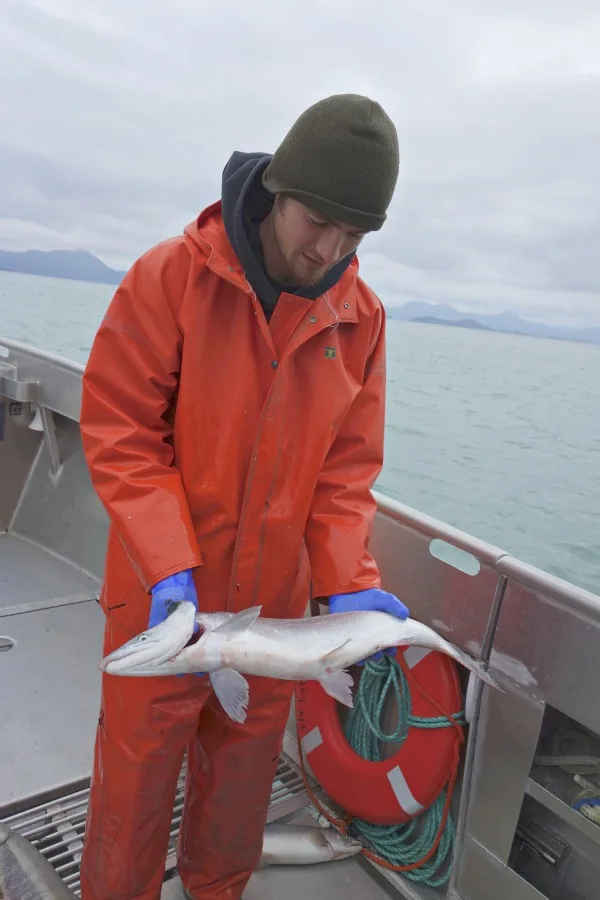 Salmon on the Boat