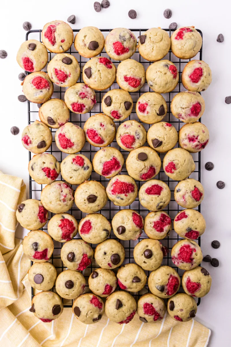 raspberry dark chocolate banana bread muffins on cooling rack