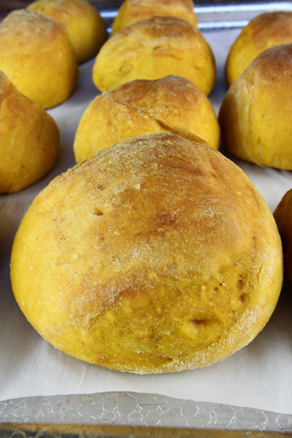 Pumpkin Dinner Rolls Recipe