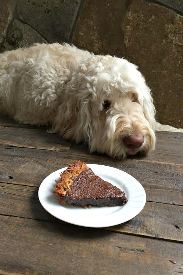 Tessie and the Chocolate Pie