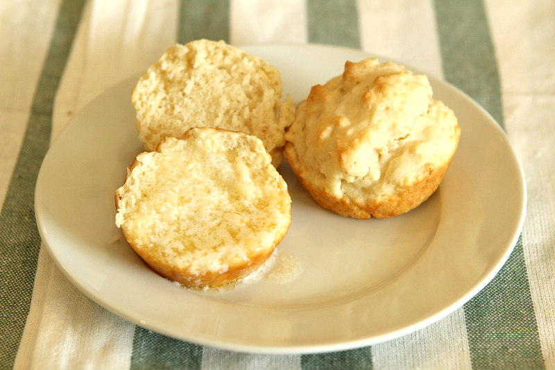 How to Prepare Tasty No Yeast Dinner Rolls - Prudent Penny Pincher