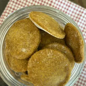 pumpkin peanut butter dog biscuits in a jar