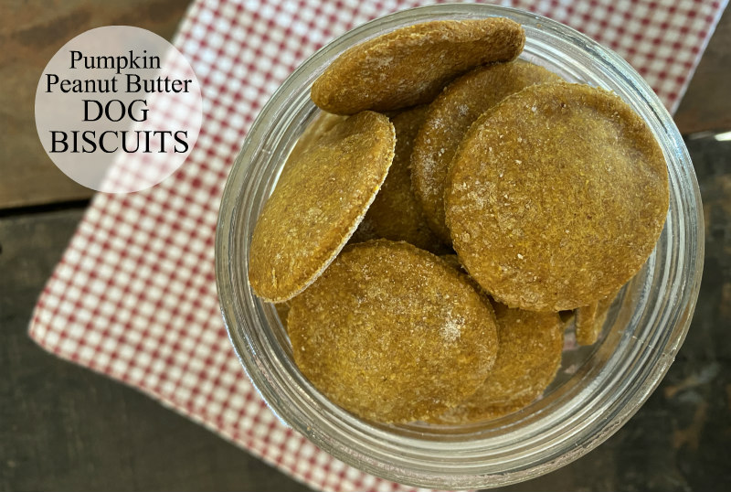 Pumpkin Peanut Butter Dog Biscuits RecipeBoy