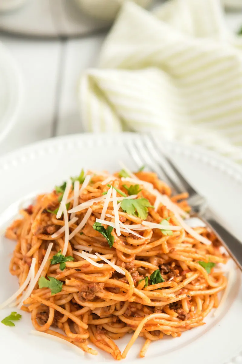 spaghetti on a white plate