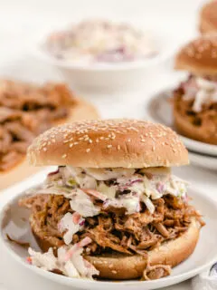 pulled pork sandwich with cole slaw