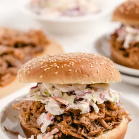 pulled pork sandwich with cole slaw