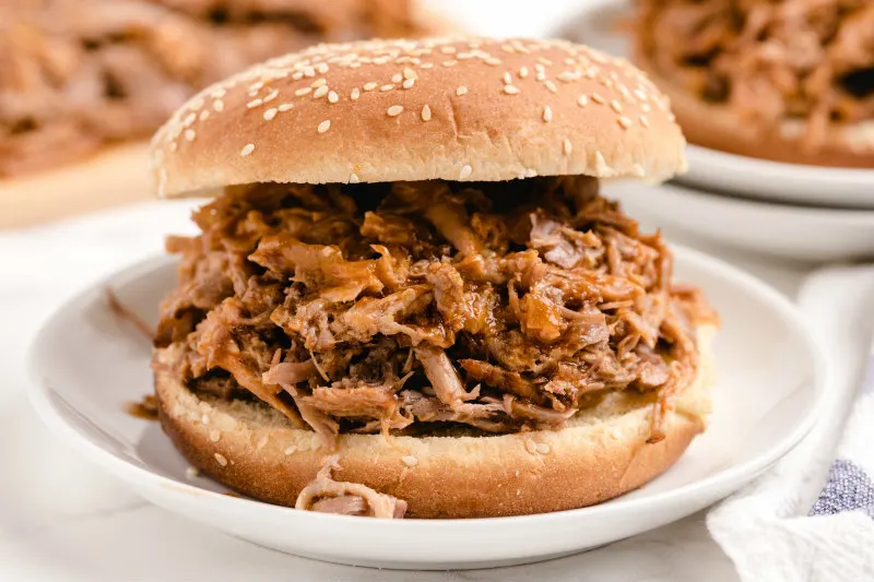 pulled pork sandwich on a white plate