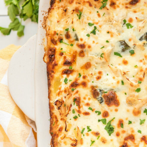 white chicken lasagna in white pan