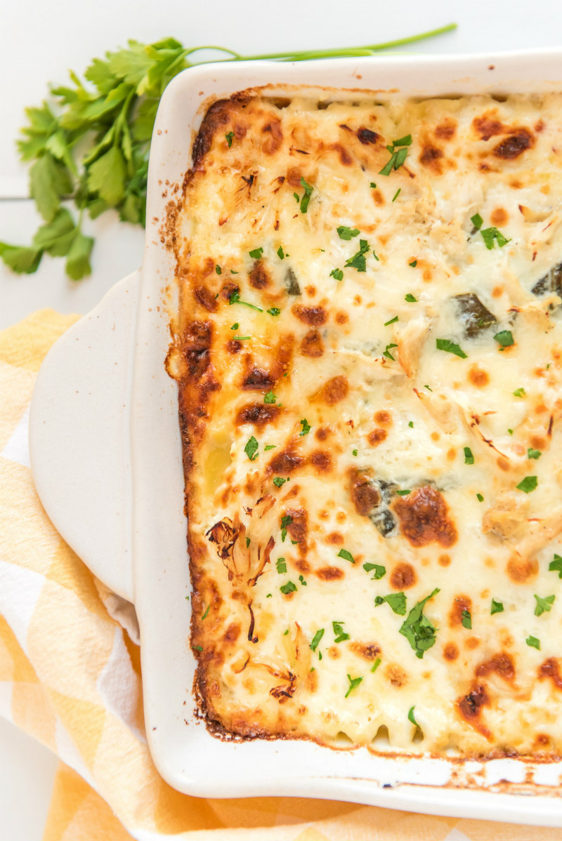 white chicken lasagna in white pan