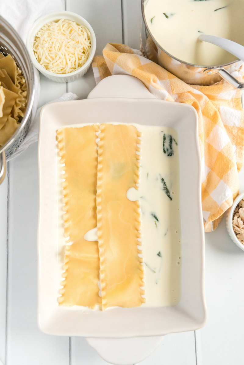 making lasagna with noodles layered with cheese and white sauce in pan