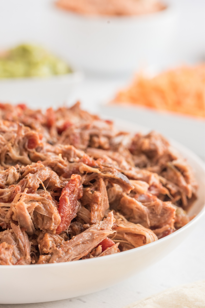 slow cooked pork in a bowl