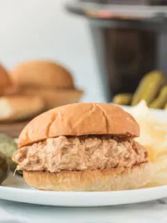 cream cheese chicken sandwich on a plate