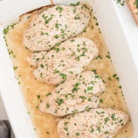 honey mustard chicken in white casserole dish