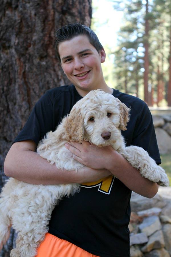 brooks holding tessie