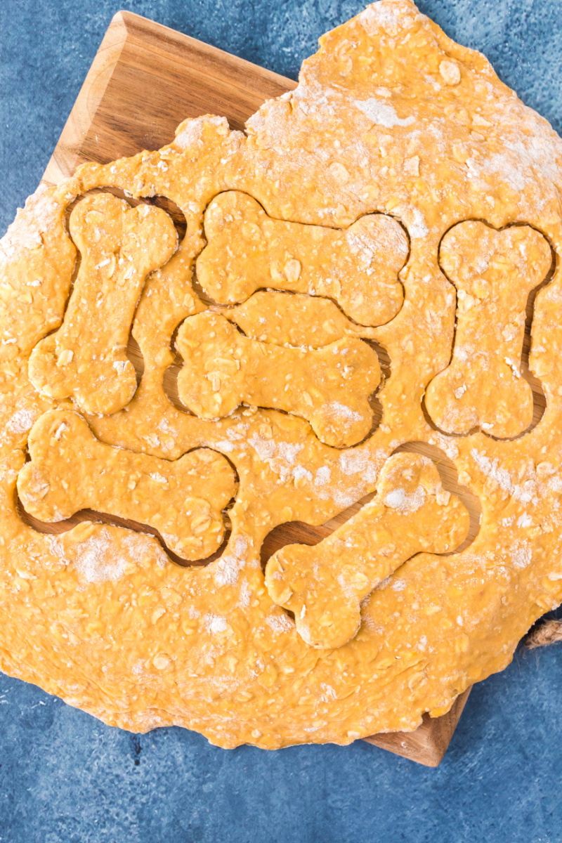 cut dog biscuits out of dough