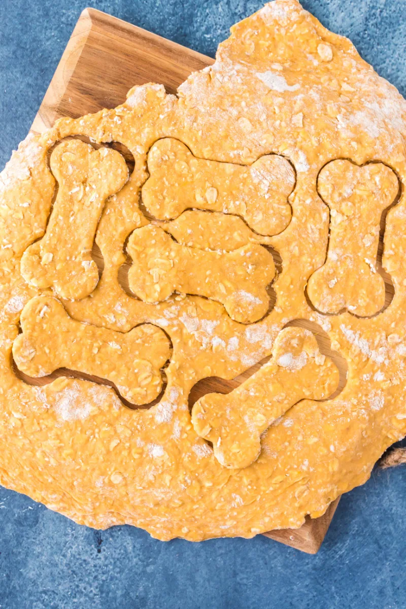 cut dog biscuits out of dough