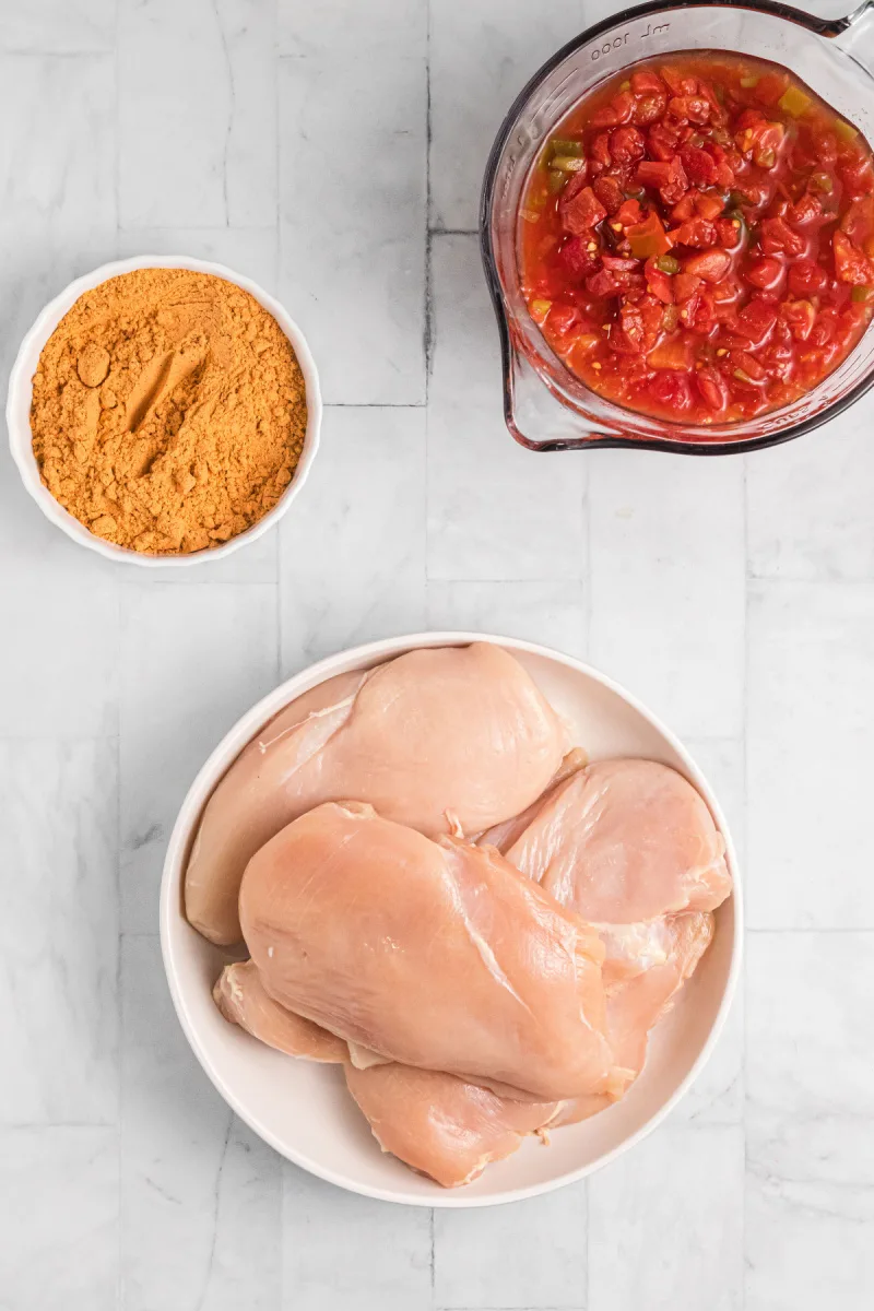 ingredients displayed for making slow cooker mexican chicken