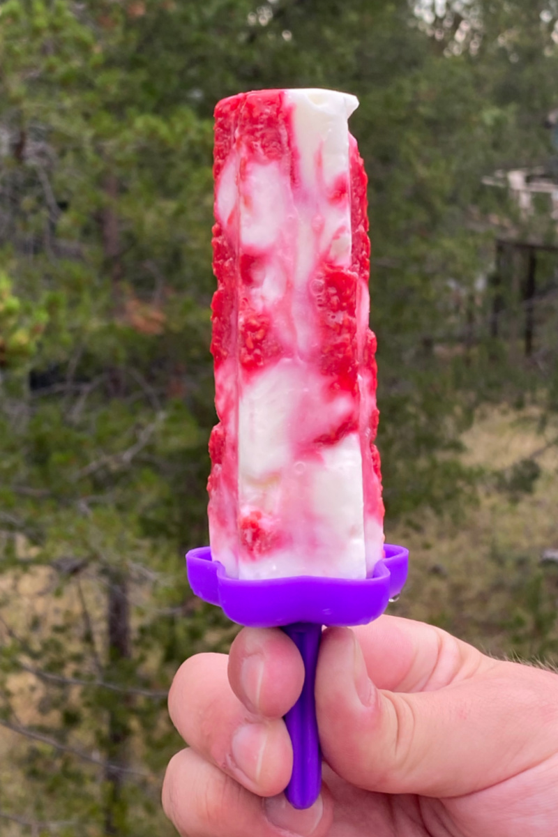 hand holding raspberry yogurt popsicle