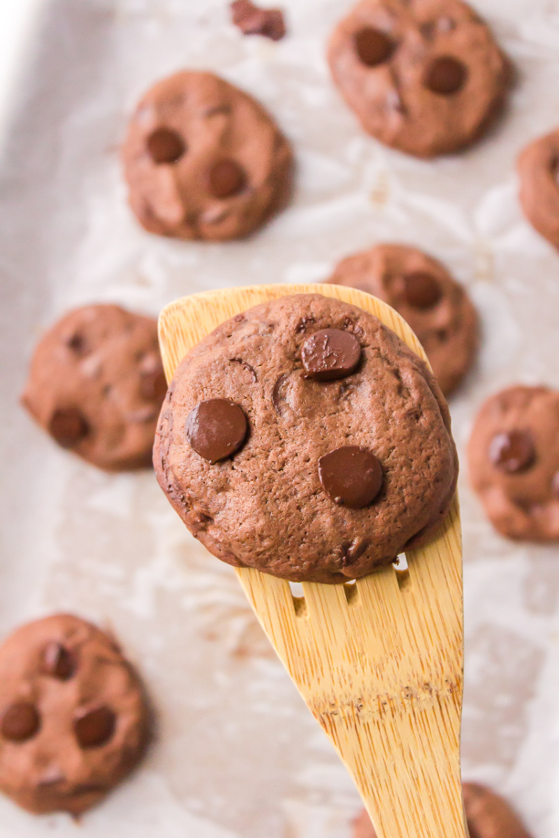 spatula with chocolate chocolate chip cookie