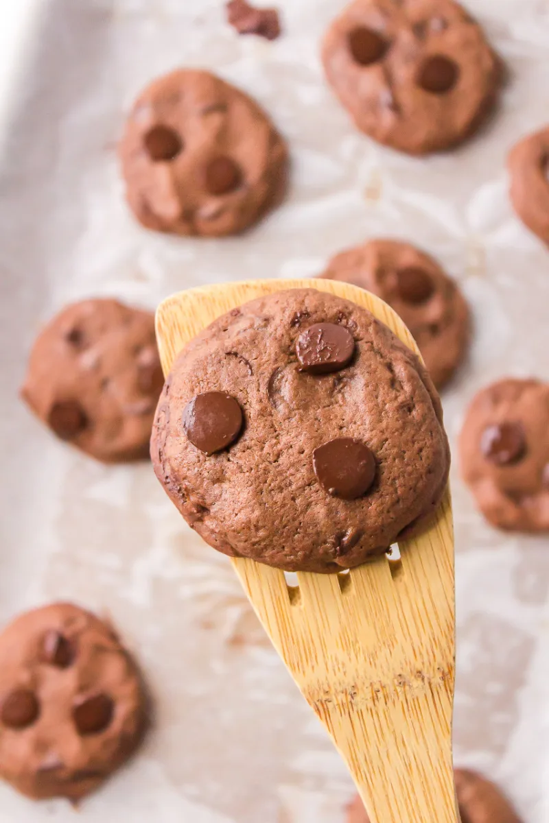 spatula with chocolate chocolate chip cookie