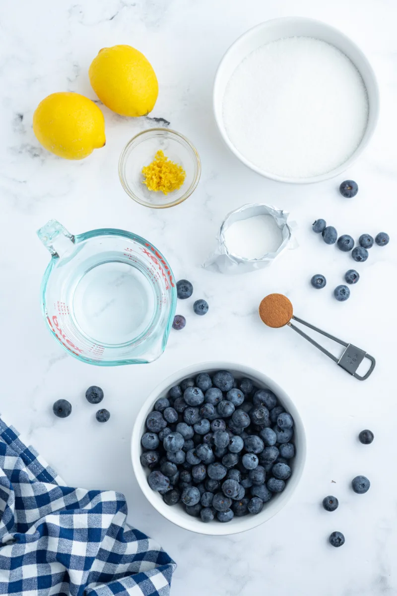 ingredients displayed for making spiced blueberry freezer jam