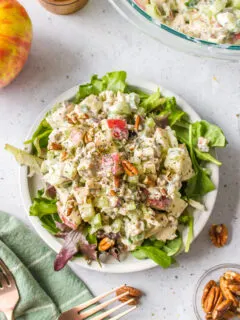 chicken apple salad on a plate