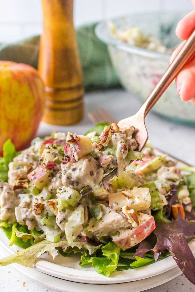 chicken apple salad on a plate with a fork