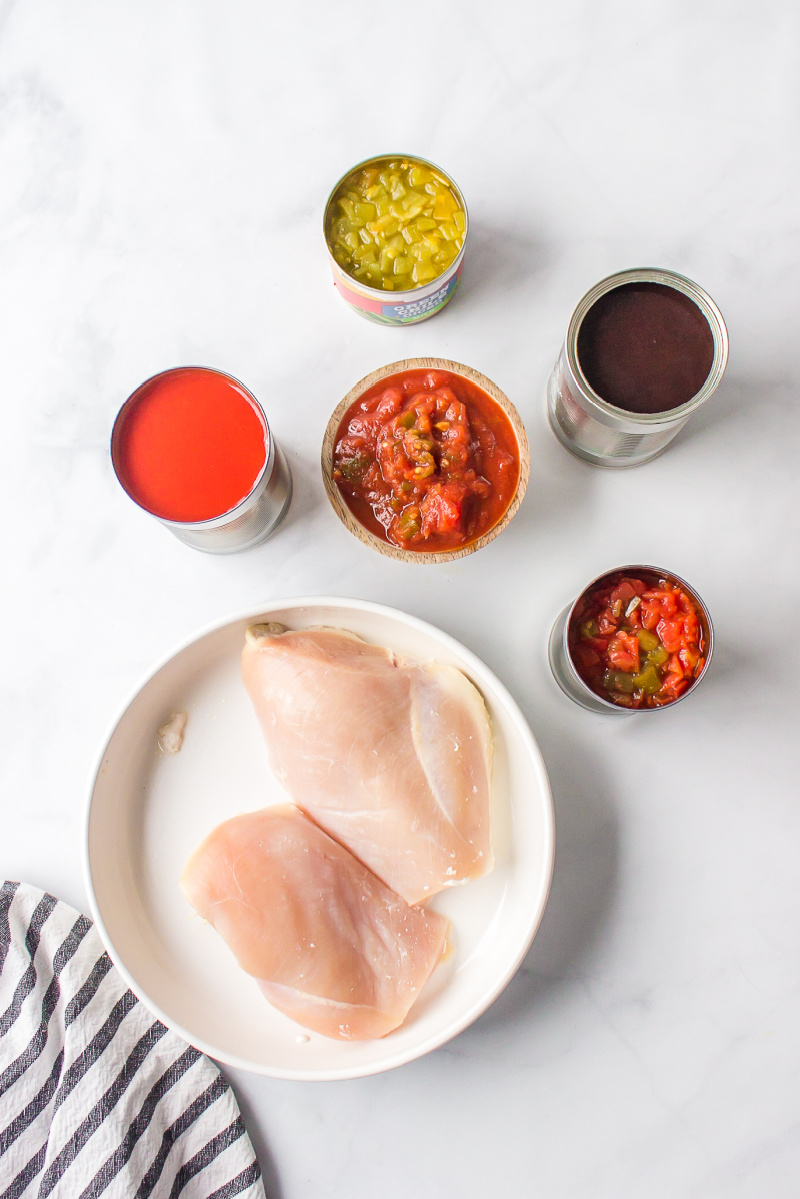 ingredients displayed for making slow cooker tortilla soup