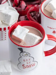 marshmallows in a mug of hot chocolate