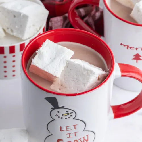 marshmallows in a mug of hot chocolate